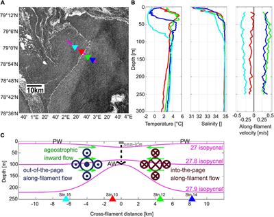 Effects of a Submesoscale Oceanographic Filament on Zooplankton Dynamics in the Arctic Marginal Ice Zone